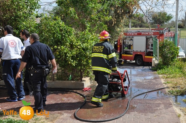 fireshekonatelarab (30).JPG